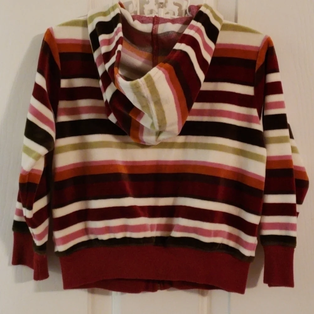 Gymboree Velour Striped Hoodie